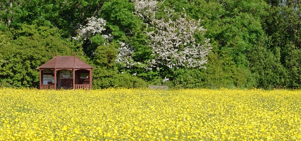 A County Wildlife Site In Bredfield – Bredfield Wildlife