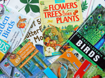 Wildlife Friendly Learning Books
